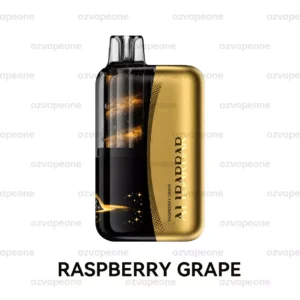ALIBARBAR SWIRL 13000 Puffs Raspberry Grape