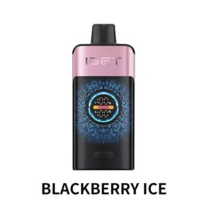 IGET ONE 12000 Puffs Blackberry Ice