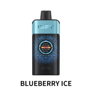 IGET ONE 12000 Puffs Blueberry Ice