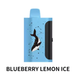 PICCO STAR 40000 Puffs Blueberry Lemon Ice