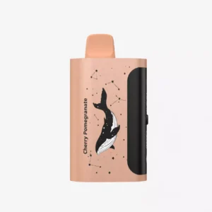 PICCO STAR 40000 Puffs Cherry Pomegranate