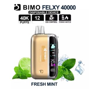 BIMO FELXY 40000 Kit Fresh Mint