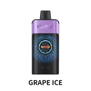 IGET ONE 12000 Puffs Grape Ice