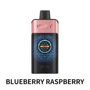 IGET ONE 12000 Puffs Blueberry Raspberry