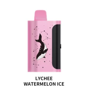 PICCO STAR 40000 Puffs Lychee Watermelon Ice