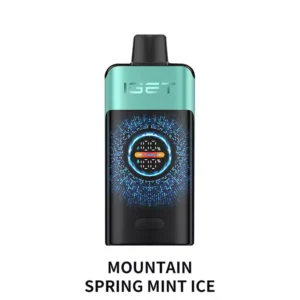 IGET ONE 12000 Puffs Mountain Spring Mint Ice