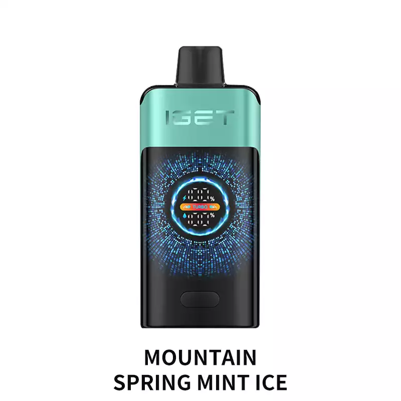 IGET ONE 12000 Puffs Mountain Spring Mint Ice