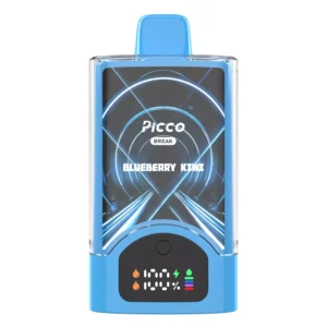 PICCO BREAK 30000 Puffs Blueberry Kiwi