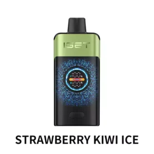 IGET ONE 12000 Puffs Strawberry Kiwi Ice