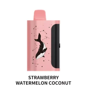 PICCO STAR 40000 Puffs Strawberry Watermelon Coconut