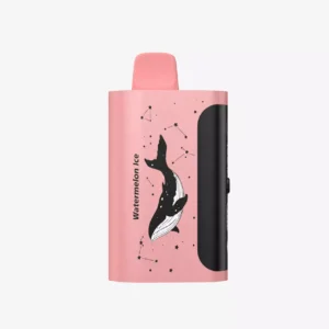 PICCO STAR 40000 Puffs Watermelon Ice