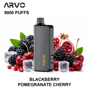 ARVO 9000 Puffs Blackberry Pomegranate Cherry