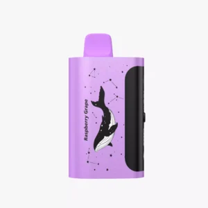 PICCO STAR 40000 Puffs Raspberry Grape Mango