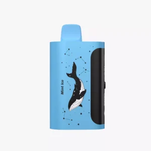 PICCO STAR 40000 Puffs Mint Ice